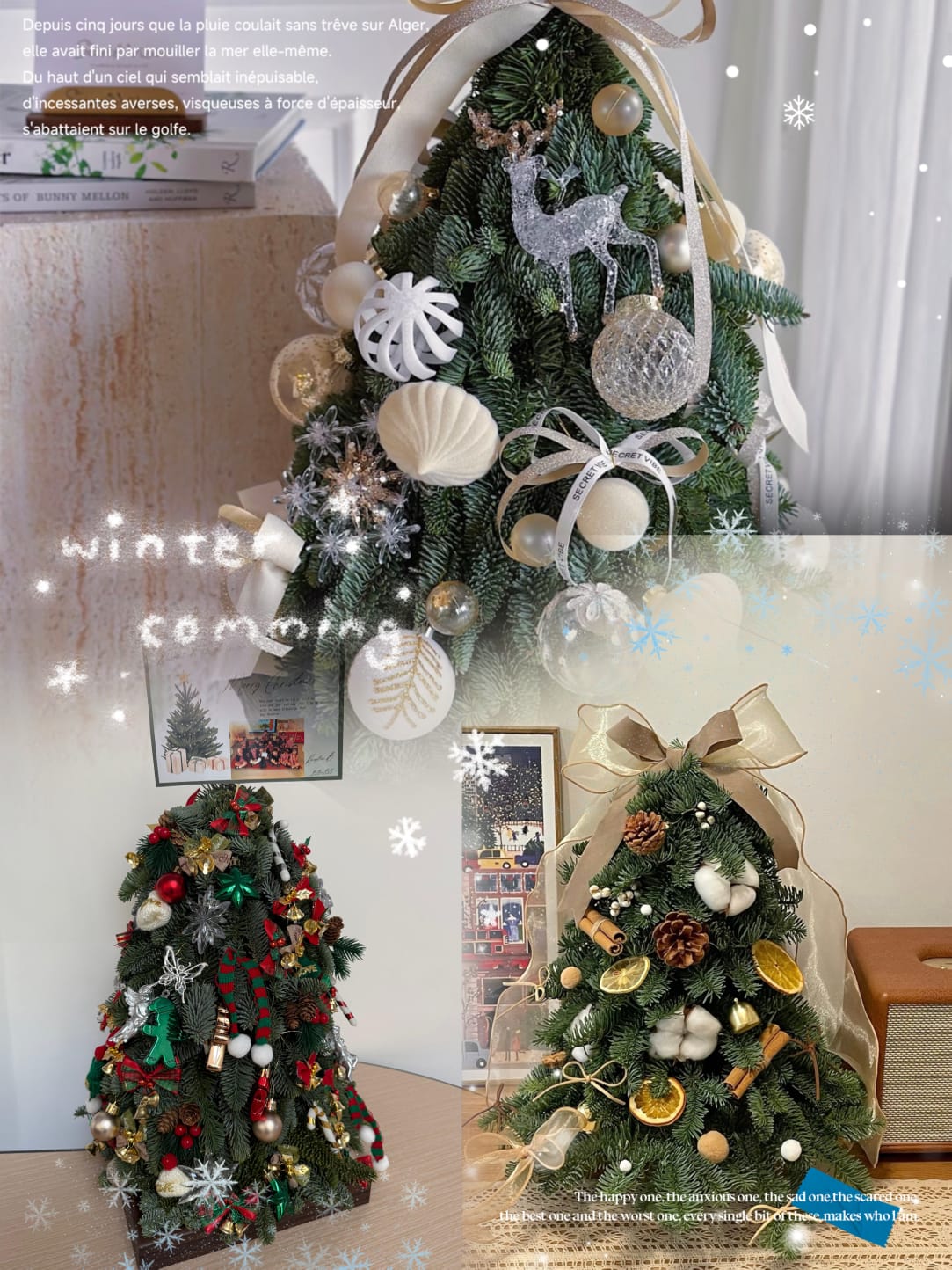 諾貝松聖誕樹作品展示